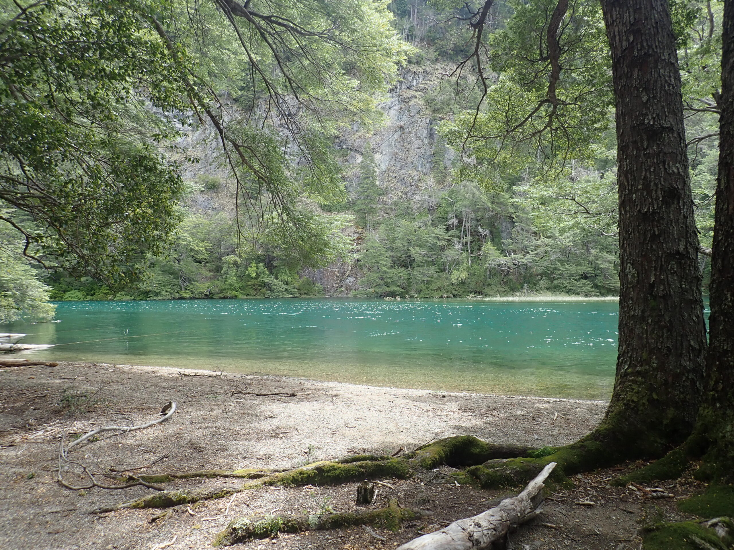 The Birth of Little Creatures (Part 1) 